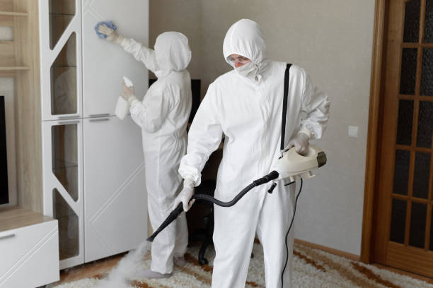 24/7 Emergency Odor Removal experts in Salem, IL