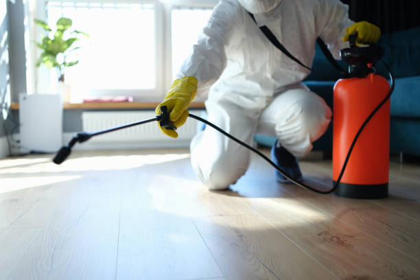 Reliable Odor Removal contractor in Salem, IL by Crime Scene Cleaner Online